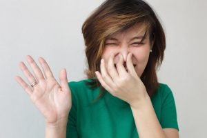 cara agar tidak bau mulut